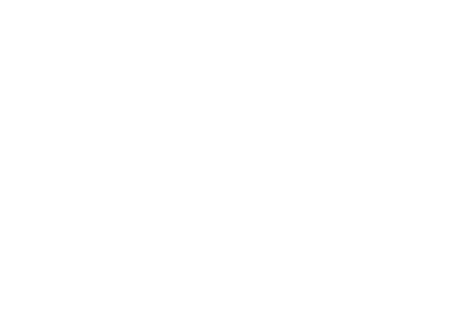 ELECTRIC MOTOR ENGINEER